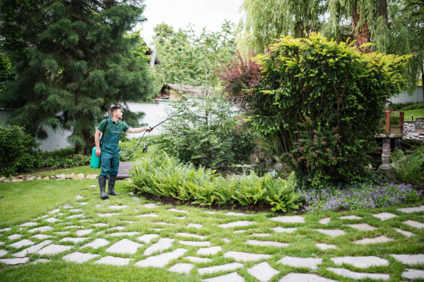Best Pest Prevention Services  in Dunn Loring, VA