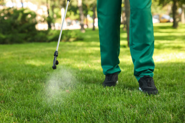 Best Ant Control Services  in Dunn Loring, VA